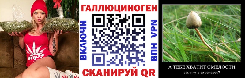blacksprut вход  купить наркотики цена  Межгорье  Галлюциногенные грибы прущие грибы 
